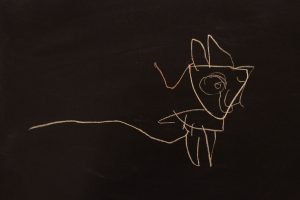 Lapin 25 Nov 2011
